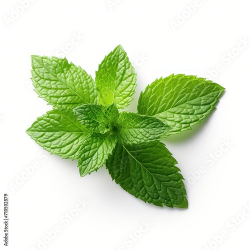 Fresh green mint leaves isolated on white background.