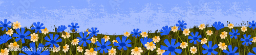 Field flowers, twilight nature banner. Summer meadow, floral landscape panorama with camomiles, cornflowers. Blossomed plants growing in countryside scenery, long background. Flat vector illustration