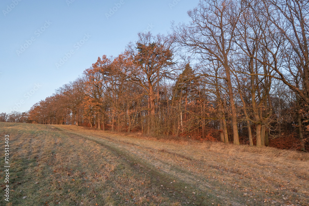 Fototapeta premium Landschaft im Herbst