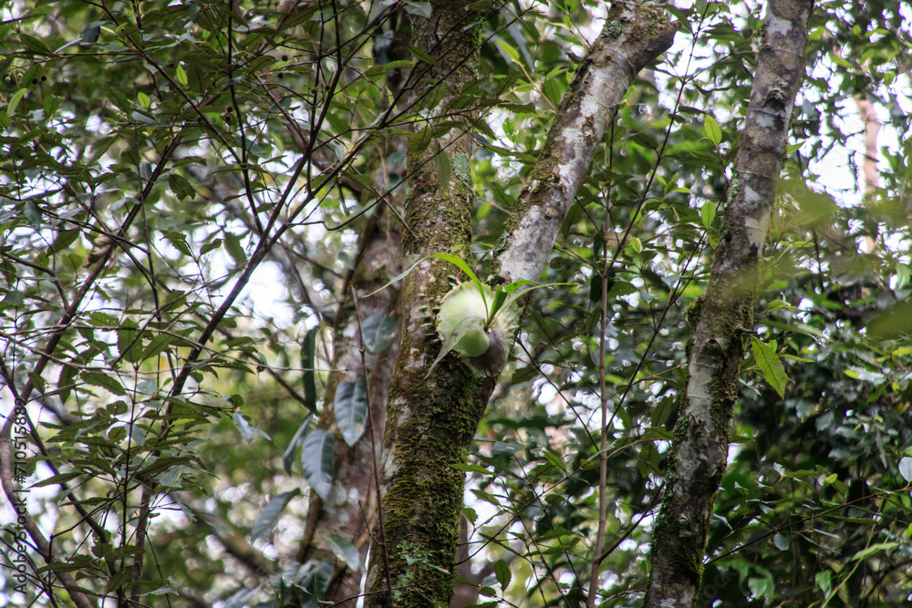 A Glimpse of Nature’s Hidden Beauty A Glimpse of Nature’s Hidden Beauty
