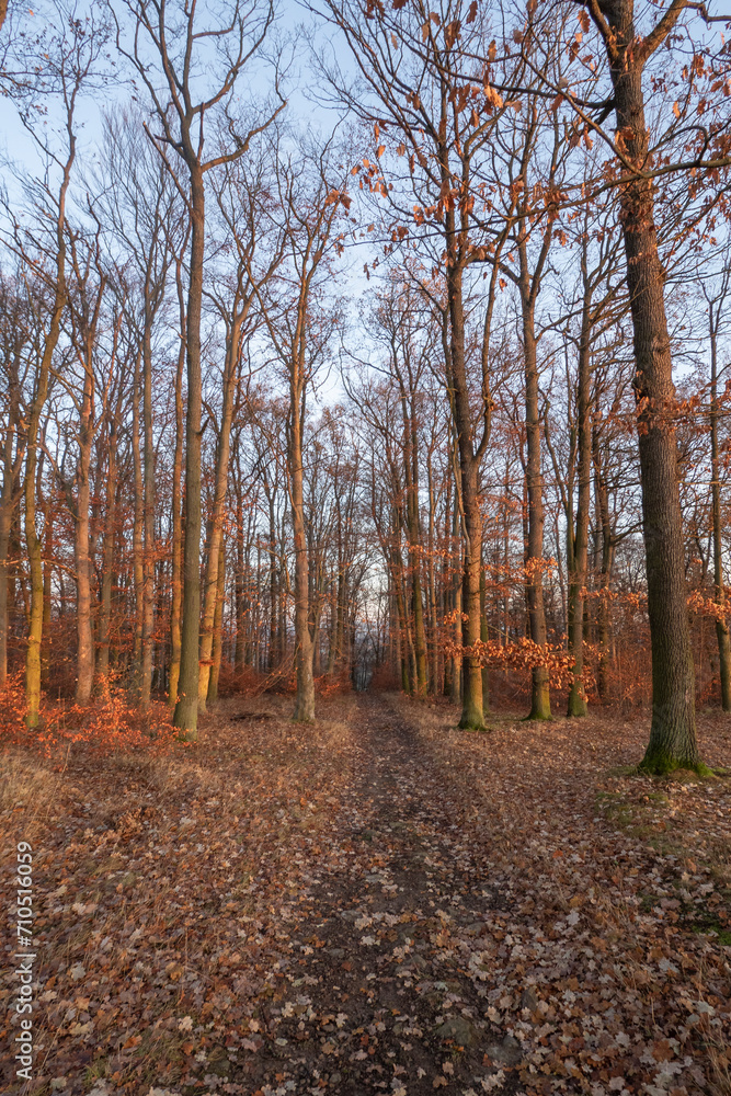 Obraz premium Landschaft im Herbst