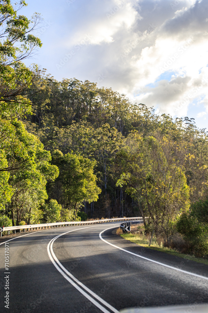Fototapeta premium A Peaceful Drive Through the Wooded Landscape
