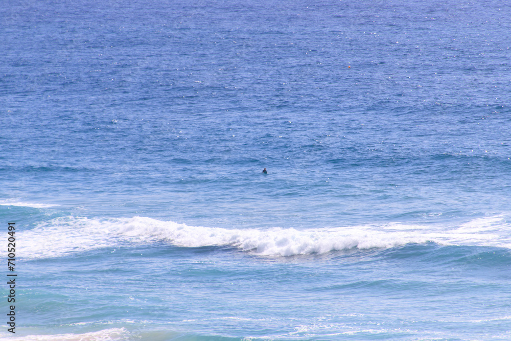 Surfers Waiting for Waves in Blue Ocean