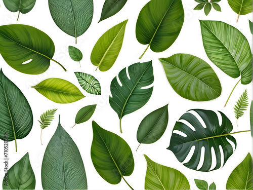 various-green-leaves-are-arranged-in-a-row-on-a-white-background-in-the-style-of-playful-patterns