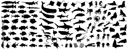 Big collection of sea animals. More than 100 silhouettes of various types of sea animals. Vector illustration © Евгений Горячев