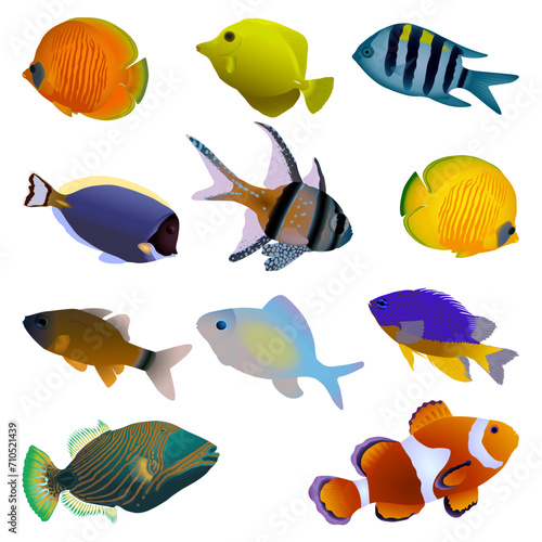 Colorful fish set. Tropical and aquarium fish. Vector illustration.