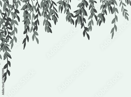 Green willow tree branches frame isolated on white background. Corner tree leaves branches isolated vector.