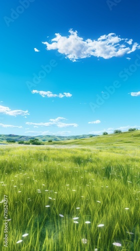 green grass and blue sky