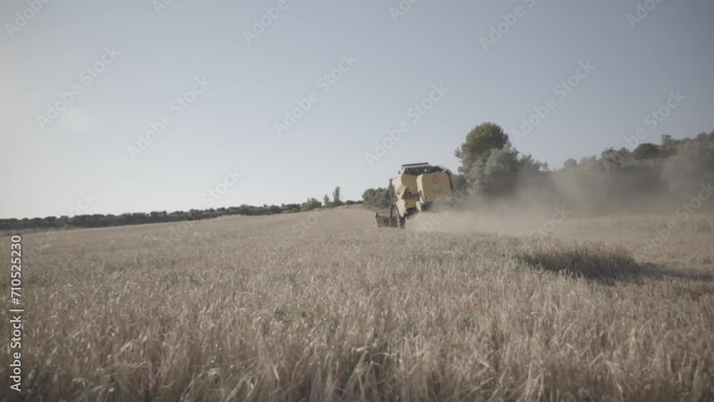 Combine harvester mowing barley in the field from behind Combine harvester mowing barley in the field from behind