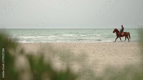 Horse riding on the beach
