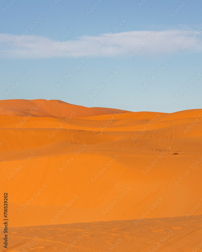 View of the Sahara desert sand dunes in Merzouga desert, Morocco. View of the Sahara desert sand dunes in Merzouga desert, Morocco.