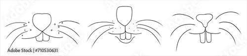 Set of bunny face with nose and teeth in hand drawn doodle style