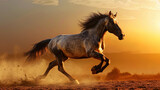 A stunning moment: the horse, raising its front hooves high, expresses its grace and energy