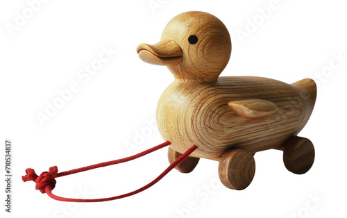 Wooden Duck Toy