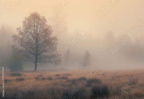 Misty Autumn Morning with Bare Tree and Golden Field