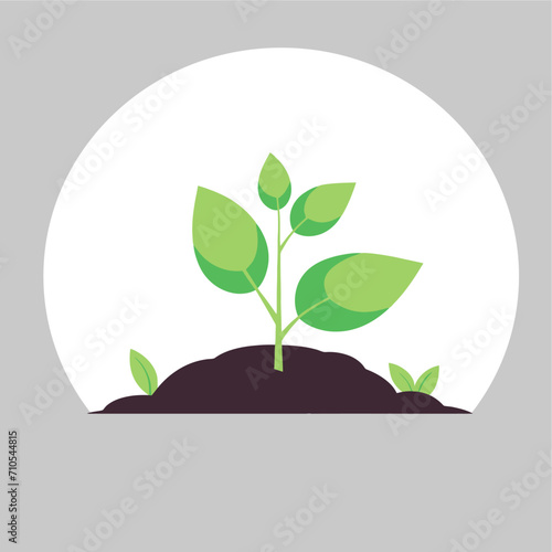 plant growing in the ground vector