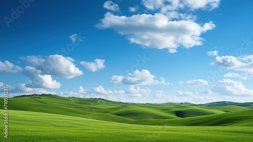 a field of green grass under a blue sky, Nature Landscape with Lush Greenery.