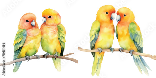 cute Watercolor A pair of Lovebirds