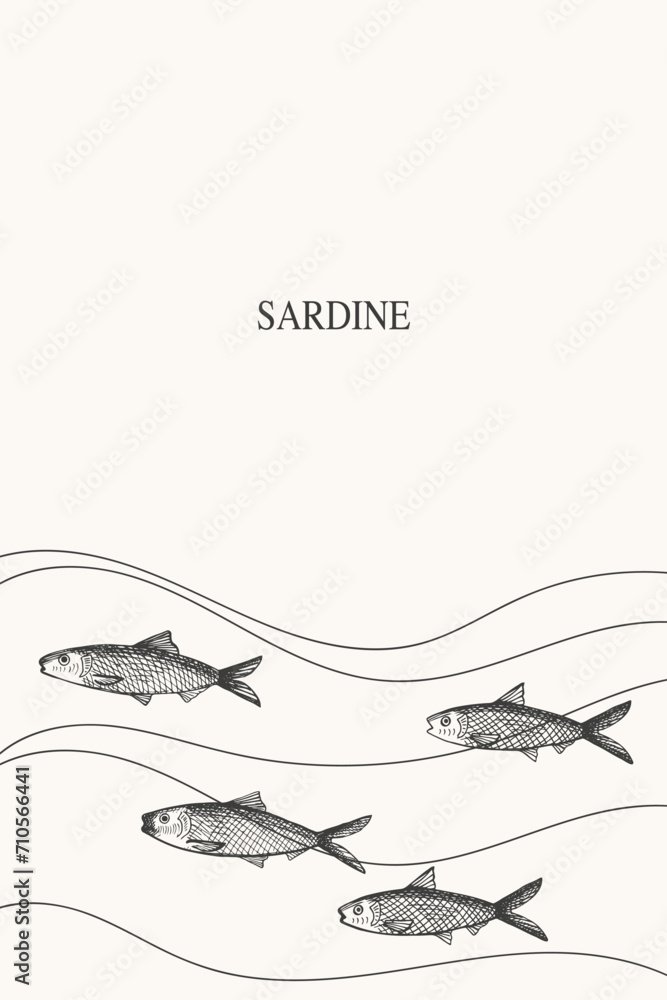 Sardine fish frame label background for text hand drawn border.Template with pichard seafood with small fish. Vector backdrop illustration with sardines for print, packaging, logo, card, flyer Sardine fish frame label background for text hand drawn border.Template with pichard seafood with small fish. Vector backdrop illustration with sardines for print, packaging, logo, card, flyer