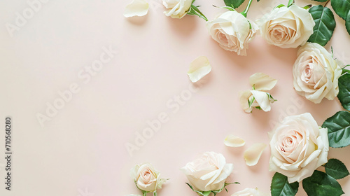 Cream Roses on Pastel Background, Soft Rose Bouquet, Elegant Floral Simplicity, spring rose flowers background, valentine's Day, Copyspace for text