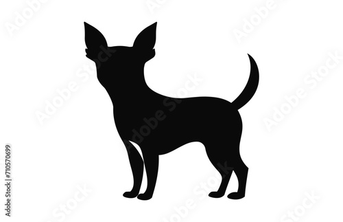 A Chihuahua Dog vector black Silhouette isolated on a white background