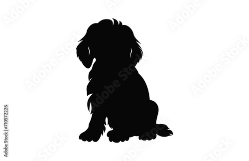 Fototapeta Naklejka Na Ścianę i Meble -  A Cockapoo Dog black Silhouette vector isolated on a white background