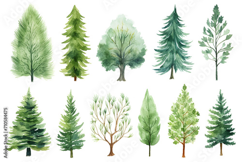 Watercolor painting Evergreens tree symbols on a white background. 