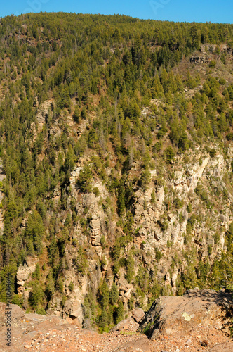 Oak Creek Canyon in Autumn