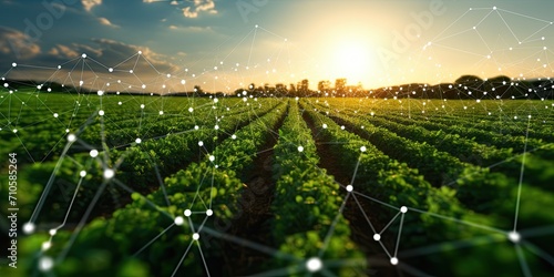 Represents using blockchain technology for traceability and transparency in agriculture