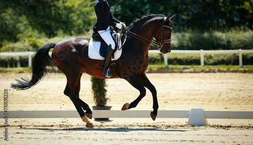 Horse, dressage horse, dressage with rider at a tournament in the test in a strong Horse, dressage horse, dressage with rider at a tournament in the test in a strong gallop.