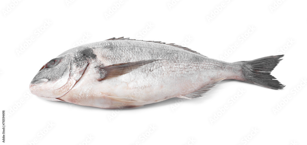 Fresh raw dorado fish isolated on white Fresh raw dorado fish isolated on white