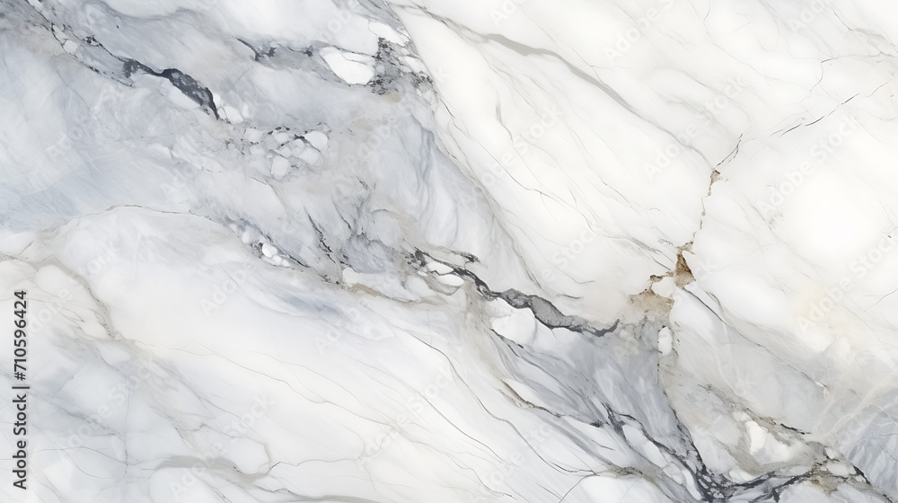 The Designer Collection