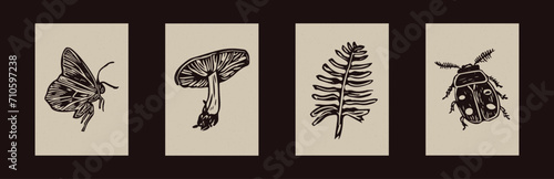 Handmade linocut mushroom bug motif clipart in folkart scandi style. Set of simple monochrome block print butterfly fern shapes with woodcut paper texture effect.