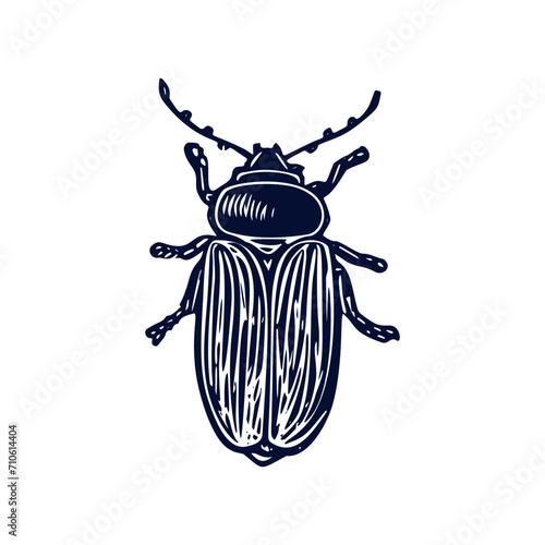 Handmade blockprint bug motif clipart in folkart scandi style. Simple monochrome linocut insect shapes with naive rural lineart.