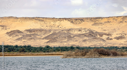 Bawiti oasis