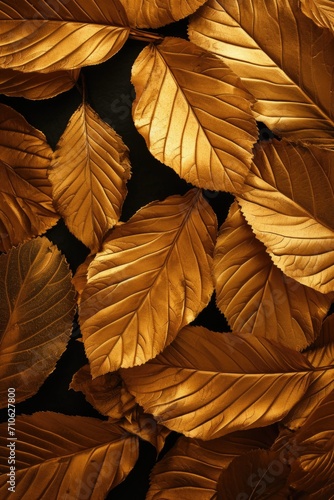 A detailed close-up of a bunch of leaves. Perfect for nature enthusiasts or botanical projects