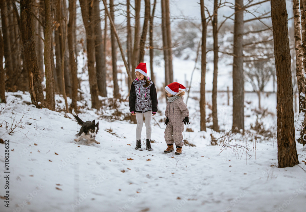 Obraz na płótnie Dzieci z czapkami MIkołaja bawią się z psem w zimowym lesie w salonie