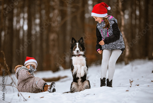 Obraz na płótnie Dzieci przytulają psa border collie, który wykonuję sztuczkę w zimowym lesie w salonie