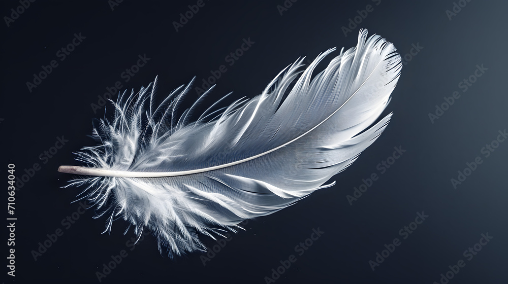 Elegant White Feather on Dark Background with Detailed Texture Elegant White Feather on Dark Background with Detailed Texture