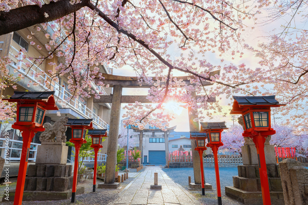 Rokusonno shrine built in 963, enshrines MInamota no Tsunemoto the 6th grandson of Emperor Seiwa. It's one of the best cherryblossom viewing spots in Kyoto Rokusonno shrine built in 963, enshrines MInamota no Tsunemoto the 6th grandson of Emperor Seiwa. It's one of the best cherryblossom viewing spots in Kyoto