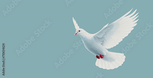 白い鳩が羽ばたいているイラスト photo
