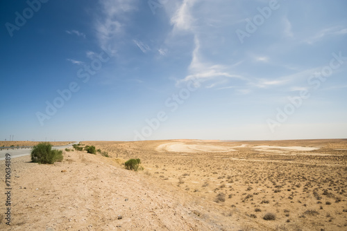 Hot summer Kyzylkum desert in Uzbekistan on a sunny day © Denis