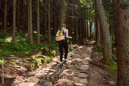 Wallpaper Mural Happy woman traveler standing on the rock enjoying beautiful forest view.Female relaxing on hiking trip. Poland, Tatry, Zakopane Torontodigital.ca