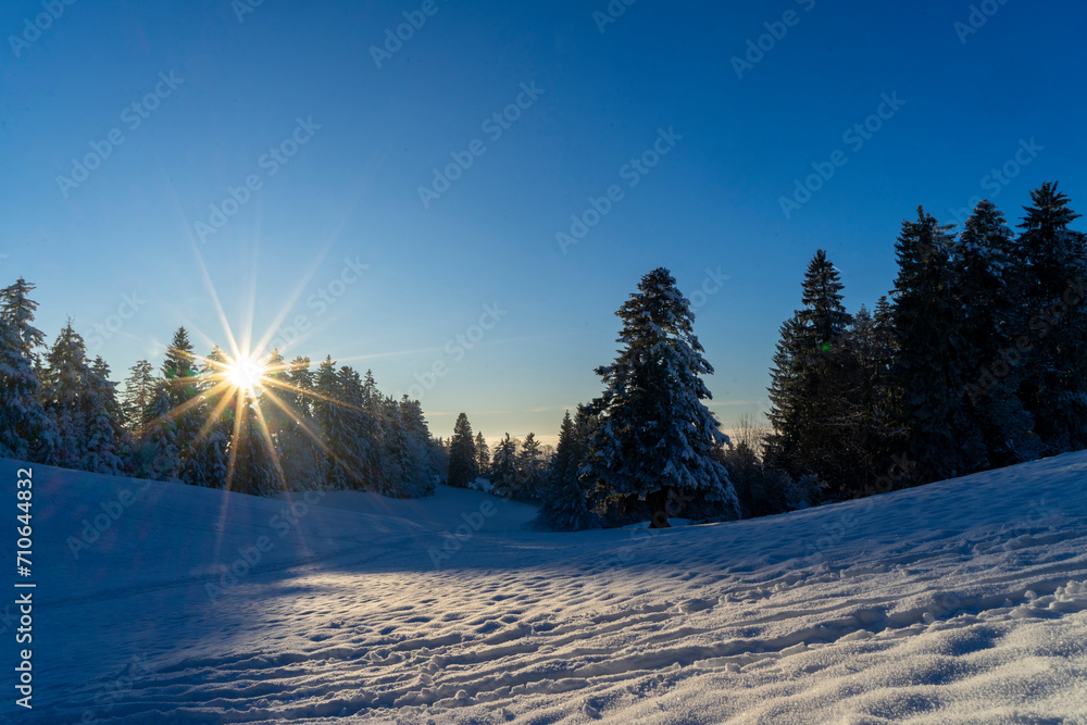 winter landscape with snow covered trees and sun shining in the evening sky winter landscape with snow covered trees and sun shining in the evening sky
