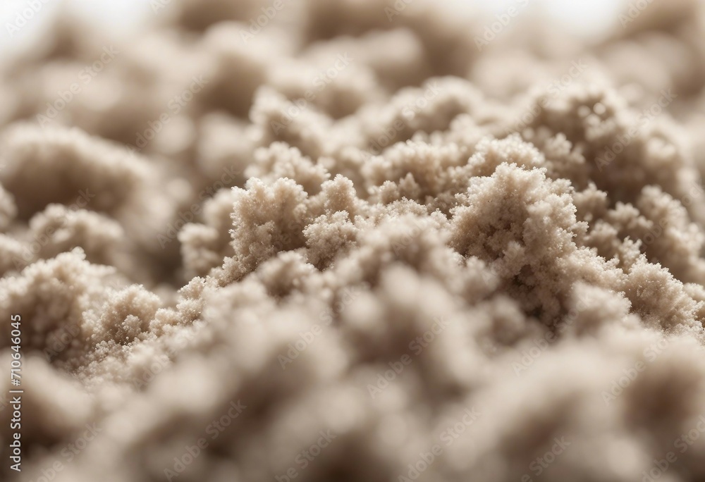 Common house hold dust high magnification macro isolated on white Shallow depth of field Common house hold dust high magnification macro isolated on white Shallow depth of field