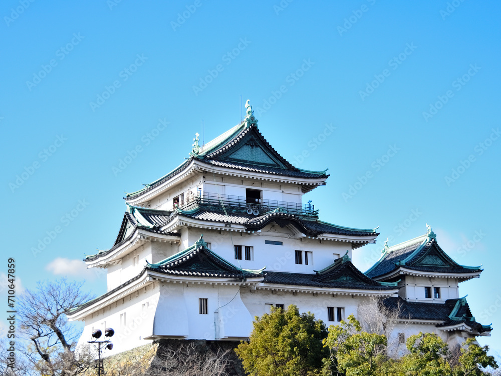 The Wakayama Castle