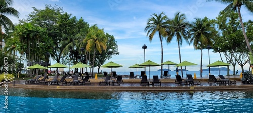 swimming pool with trees