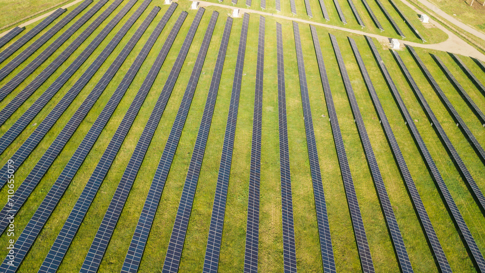 Obraz premium top view of solar panels and green forest at sun. ecology concept. view from above, drone shot