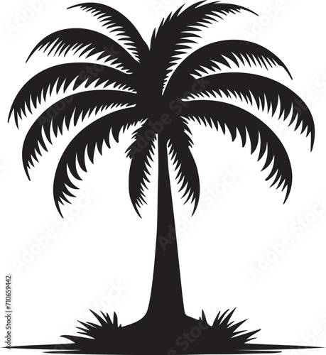 silhouette of palm trees