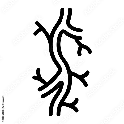 blood vessel line icon